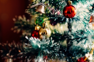 Christmas Day and What Now?